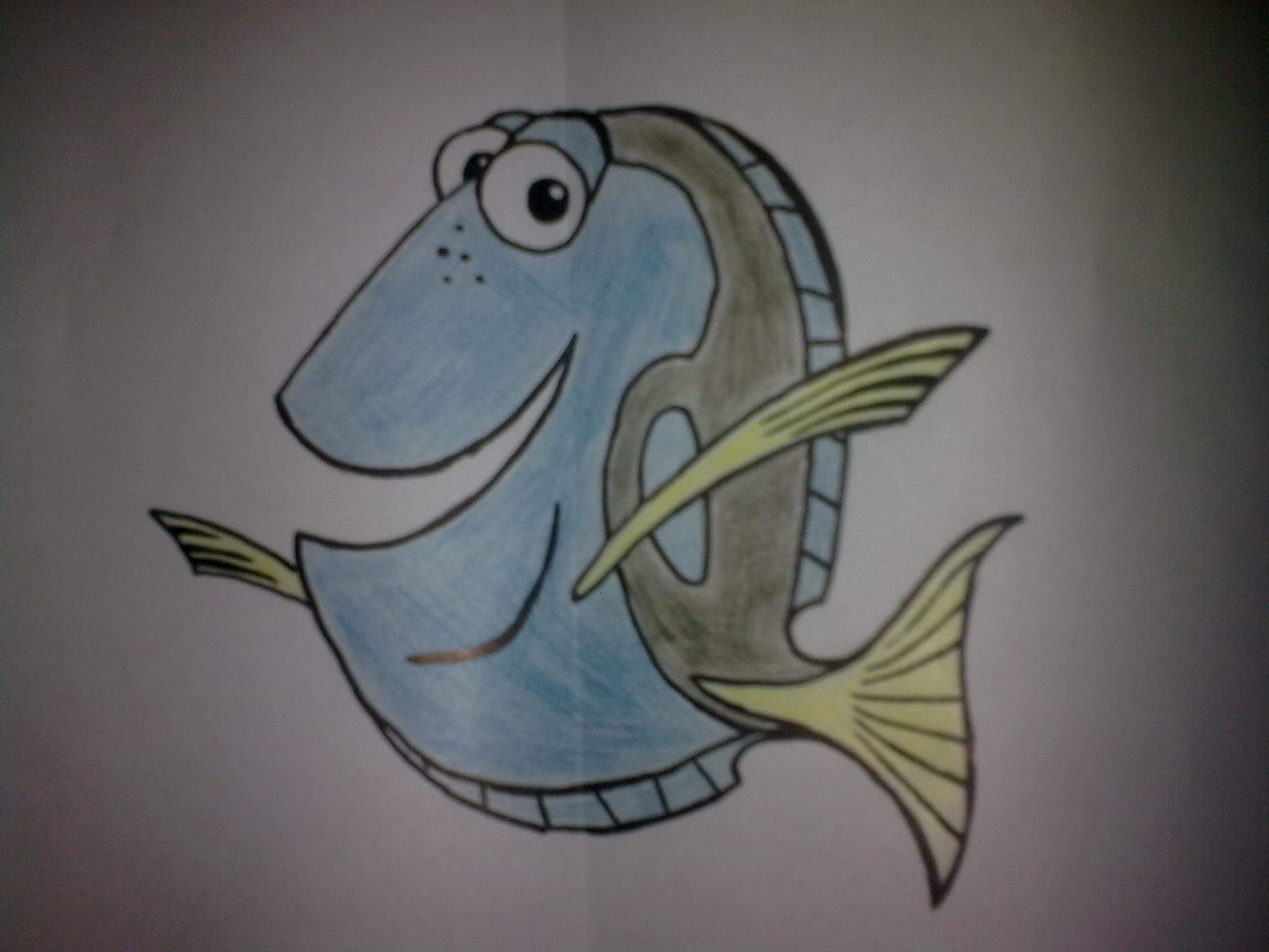 Dory